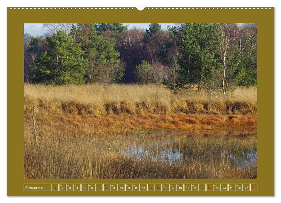 Moor-Stimmungen (CALVENDO Premium Wandkalender 2026)