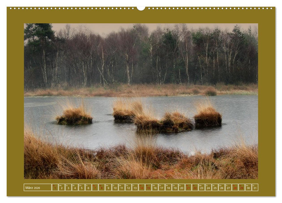 Moor-Stimmungen (CALVENDO Premium Wandkalender 2026)