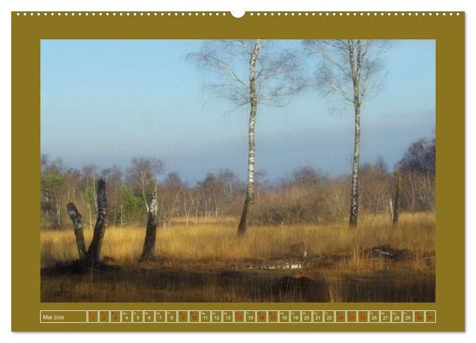 Moor-Stimmungen (CALVENDO Premium Wandkalender 2026)