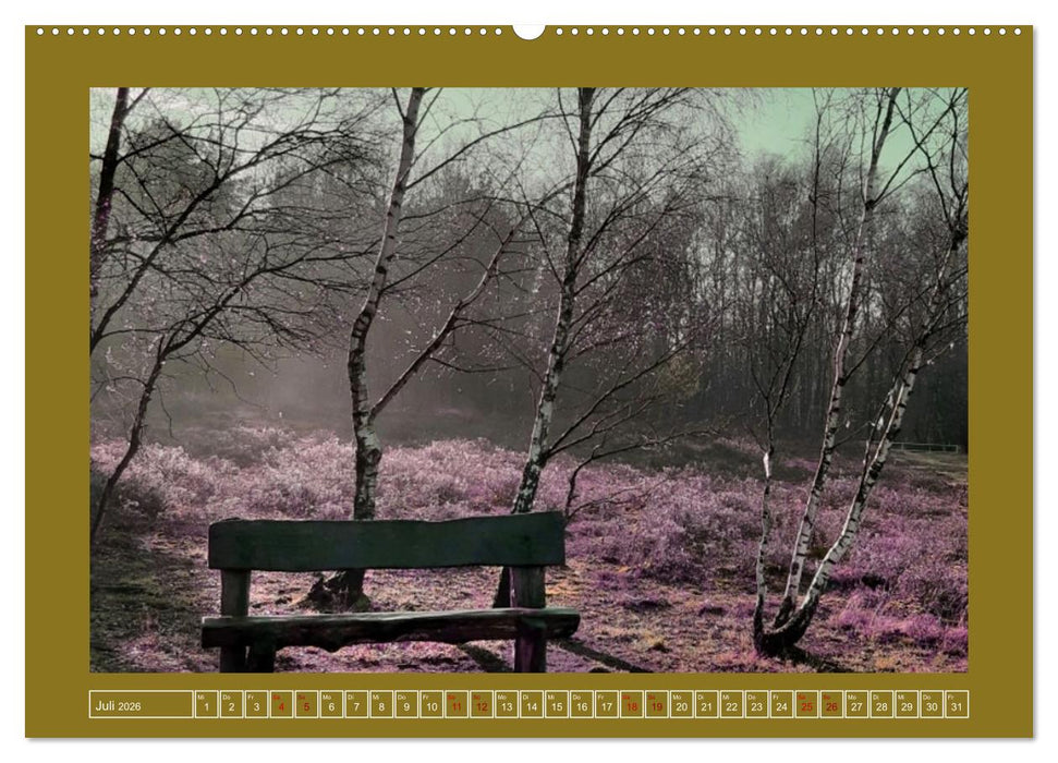 Moor-Stimmungen (CALVENDO Premium Wandkalender 2026)