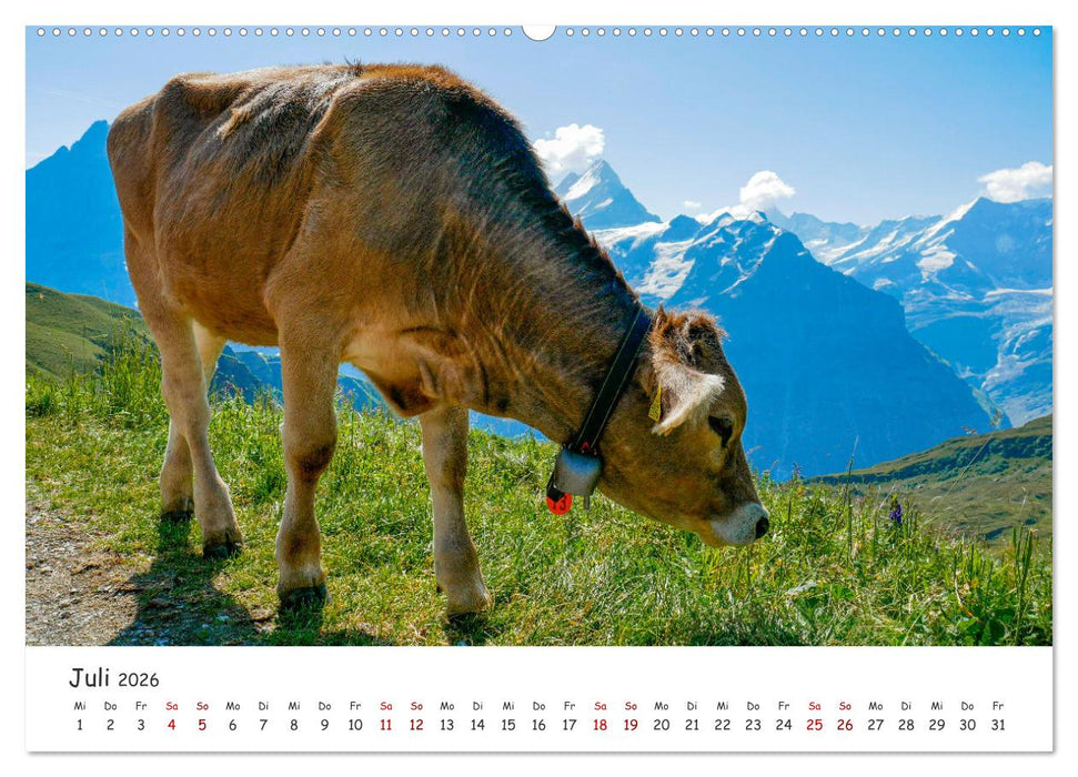 Wunderschöne Schweiz (CALVENDO Premium Wandkalender 2026)