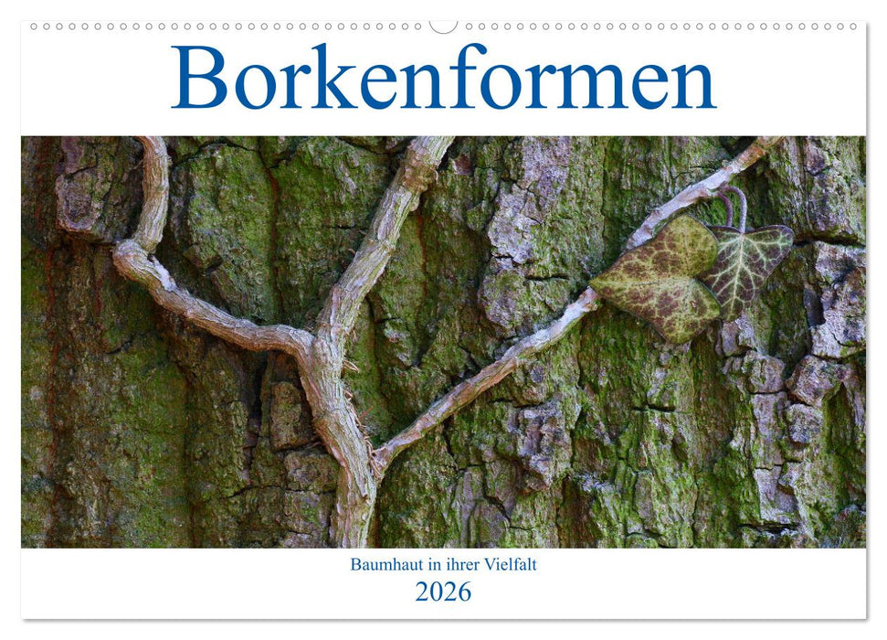 Borkenformen (CALVENDO Wandkalender 2026)