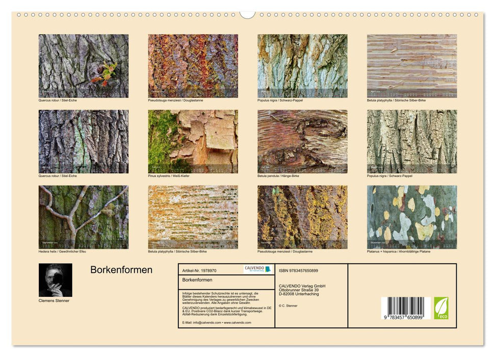 Borkenformen (CALVENDO Wandkalender 2026)