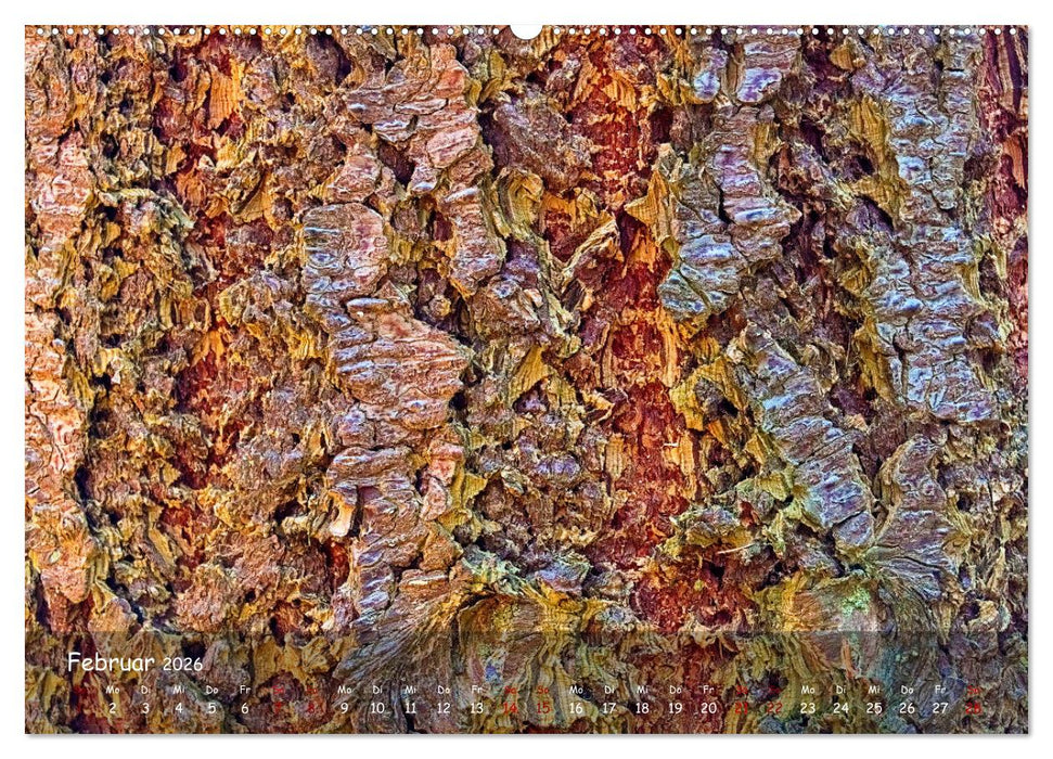 Borkenformen (CALVENDO Wandkalender 2026)