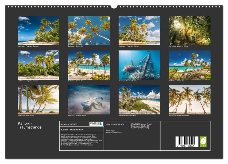 Karibik - Traumstrände (CALVENDO Premium Wandkalender 2026)