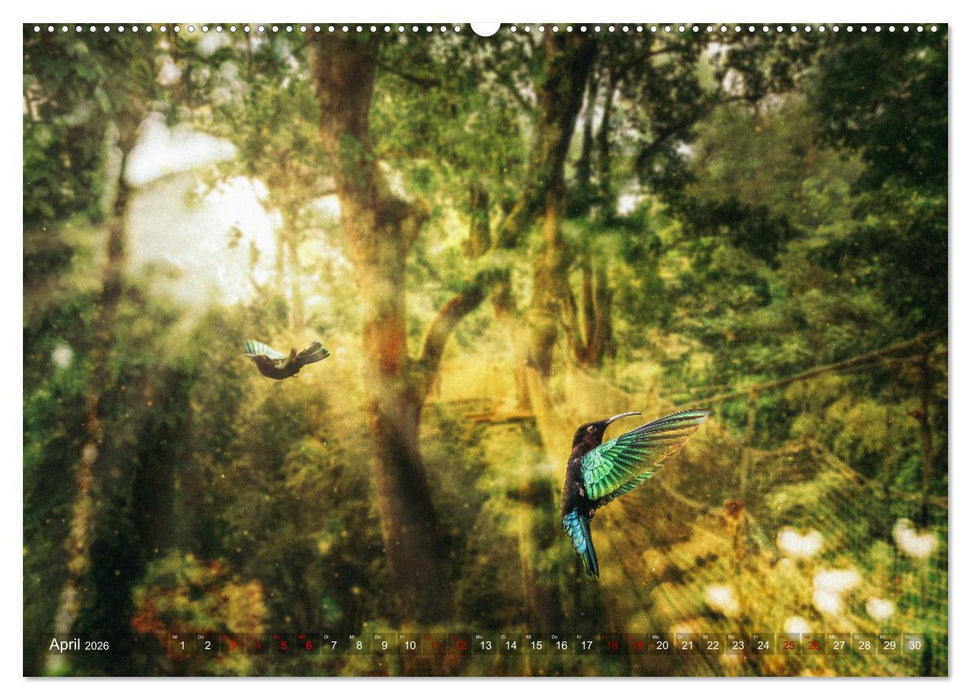 Karibik - Traumstrände (CALVENDO Premium Wandkalender 2026)