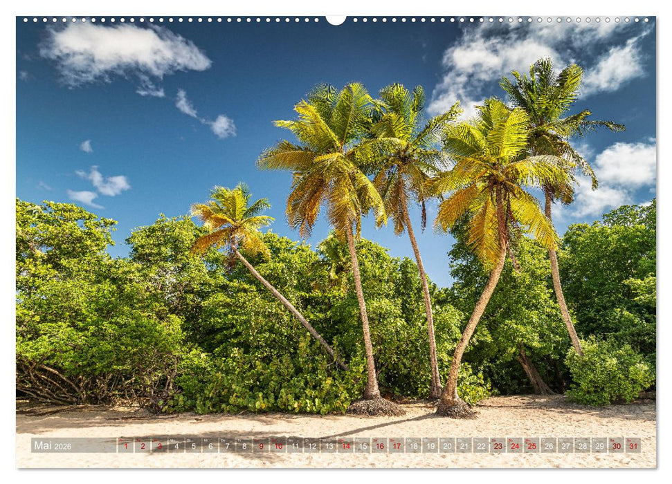 Karibik - Traumstrände (CALVENDO Premium Wandkalender 2026)