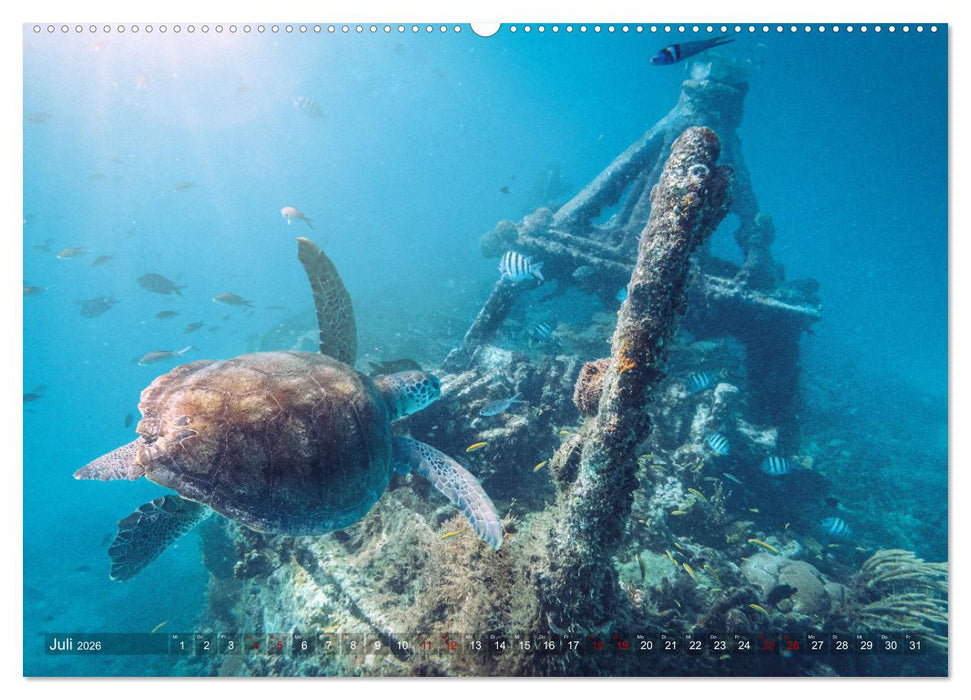 Karibik - Traumstrände (CALVENDO Premium Wandkalender 2026)