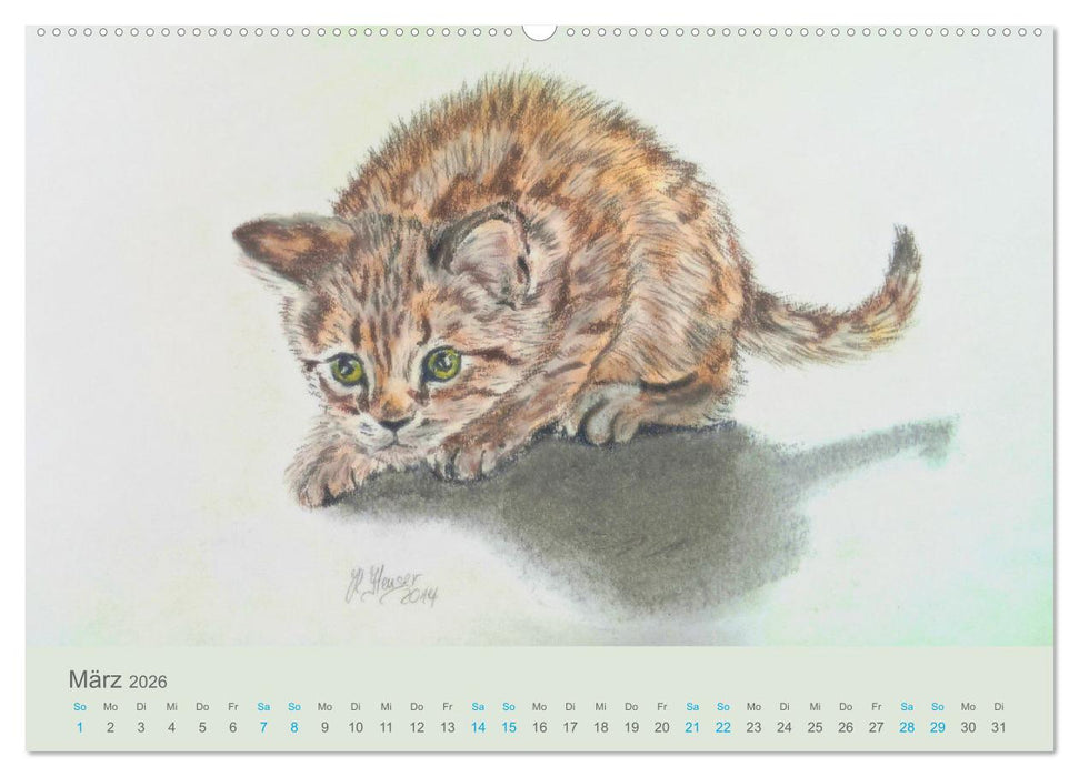 KATZEN PortraiTierART (CALVENDO Premium Wandkalender 2026)