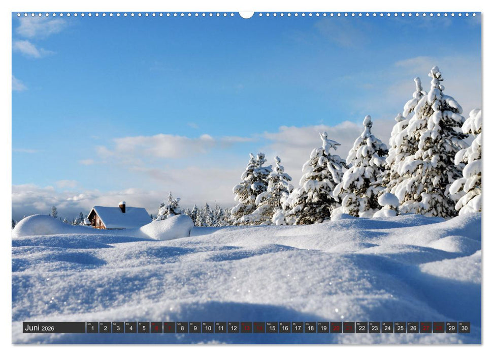 Ich liebe Winter (CALVENDO Premium Wandkalender 2026)
