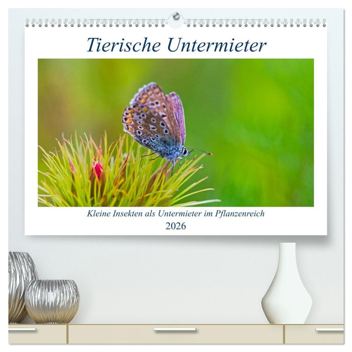 Tierische Untermieter (CALVENDO Premium Wandkalender 2026)