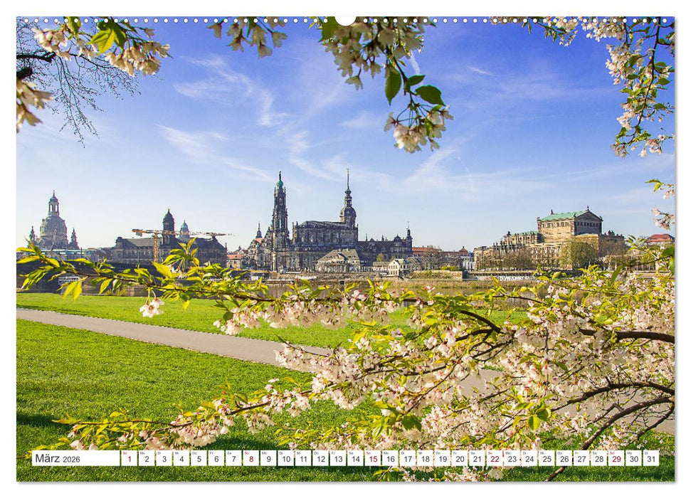 Dresden, Du Schöne. (CALVENDO Premium Wandkalender 2026)