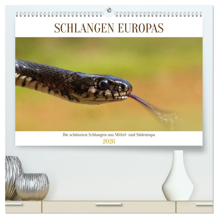 Schlangen Europas (CALVENDO Premium Wandkalender 2026)