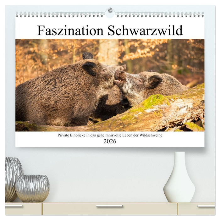 Faszination Schwarzwild (CALVENDO Premium Wandkalender 2026)