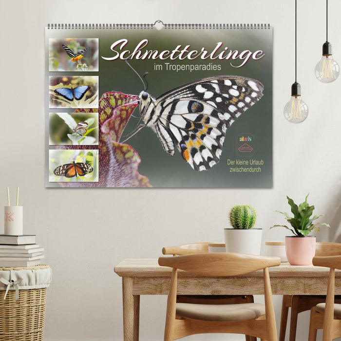 Schmetterlinge im Tropenparadies (CALVENDO Wandkalender 2026)