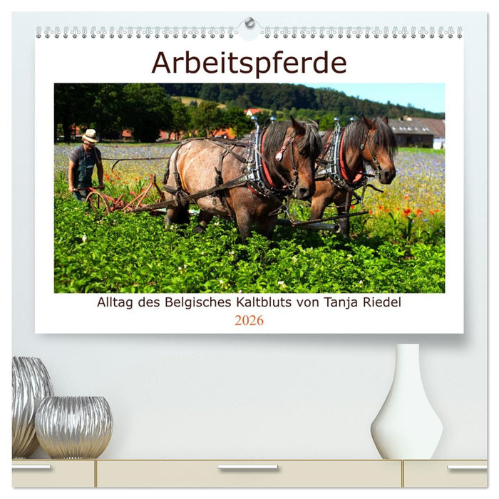 Arbeitspferde - Alltag des belgischen Kaltbluts (CALVENDO Premium Wandkalender 2026)