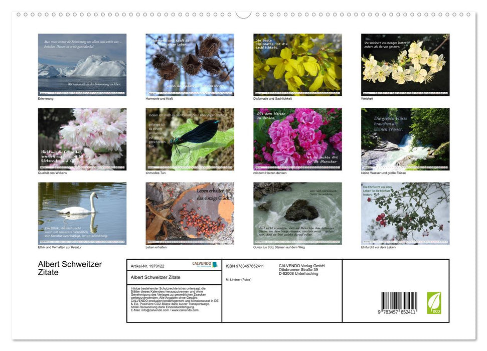 Albert Schweitzer Zitate (CALVENDO Premium Wandkalender 2026)