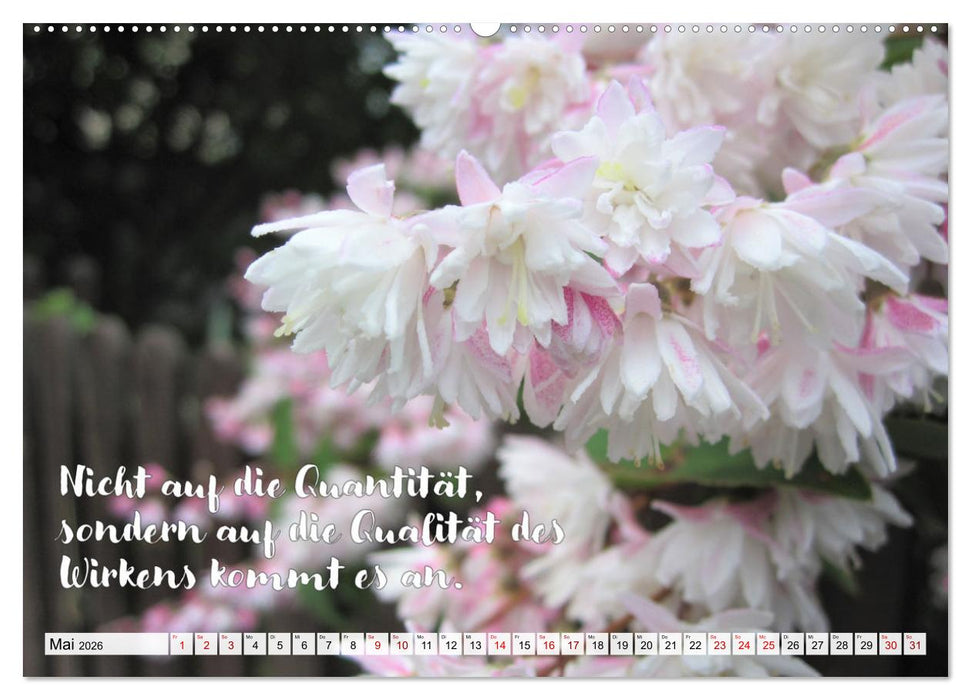 Albert Schweitzer Zitate (CALVENDO Premium Wandkalender 2026)