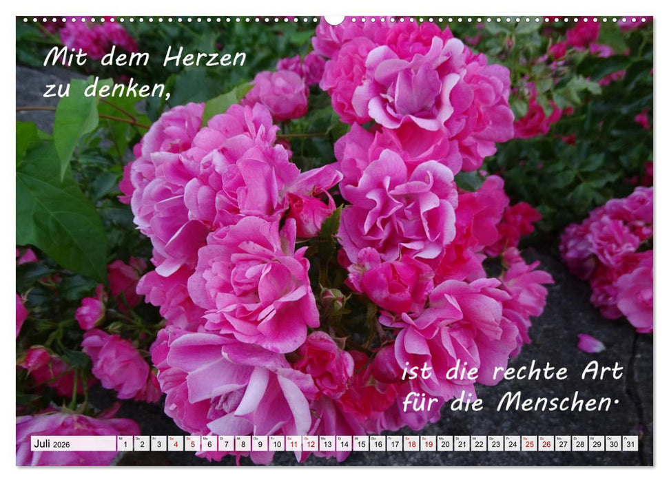 Albert Schweitzer Zitate (CALVENDO Premium Wandkalender 2026)