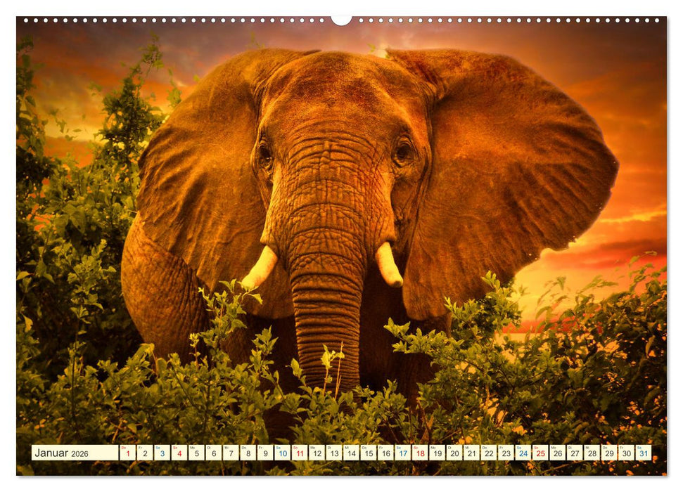 Die Riesen der Savanne (CALVENDO Wandkalender 2026)