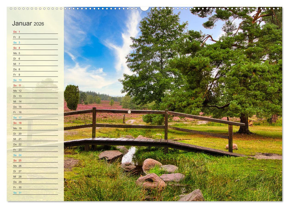 Die Heideblüte (CALVENDO Wandkalender 2026)