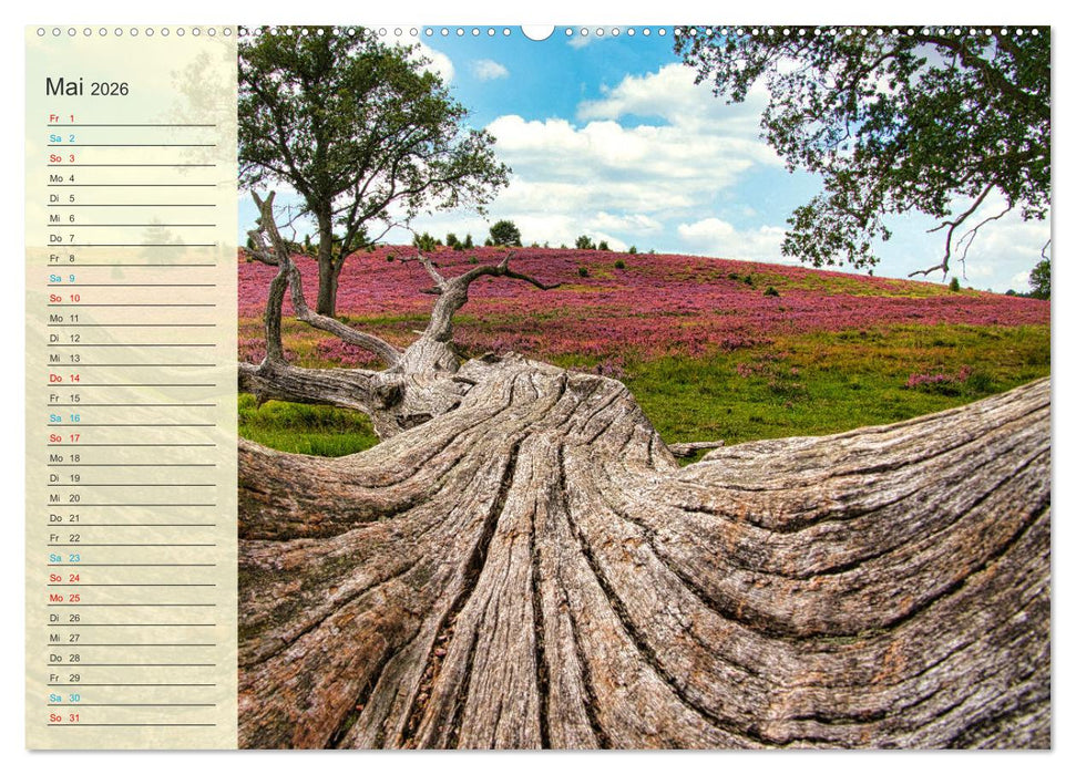 Die Heideblüte (CALVENDO Wandkalender 2026)