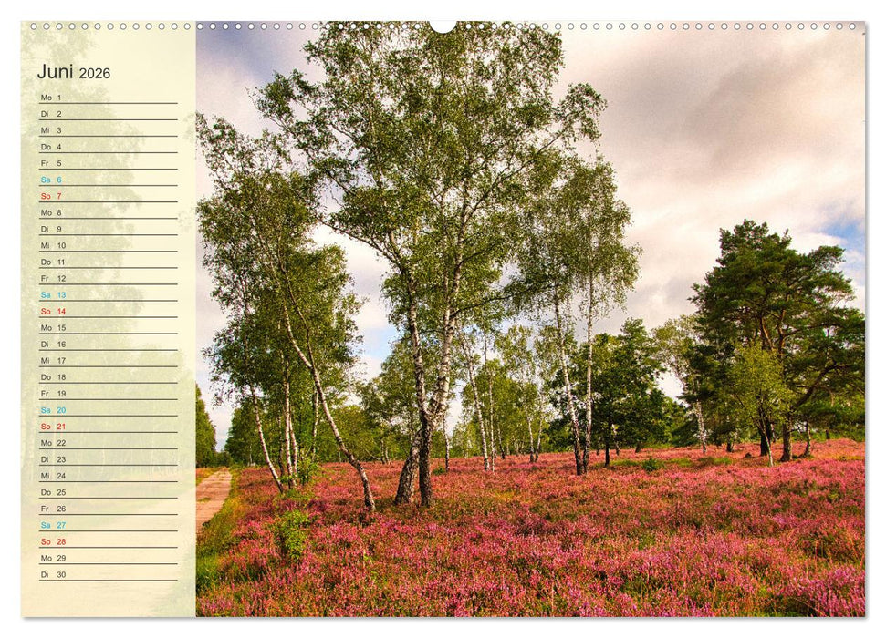Die Heideblüte (CALVENDO Wandkalender 2026)