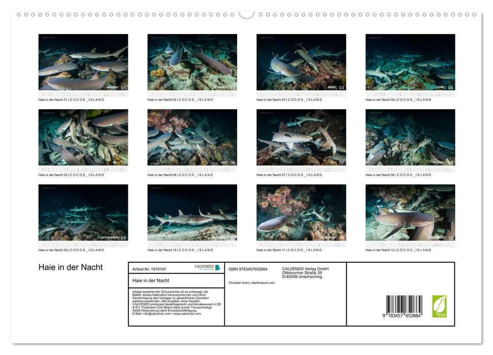Haie in der Nacht (CALVENDO Premium Wandkalender 2026)