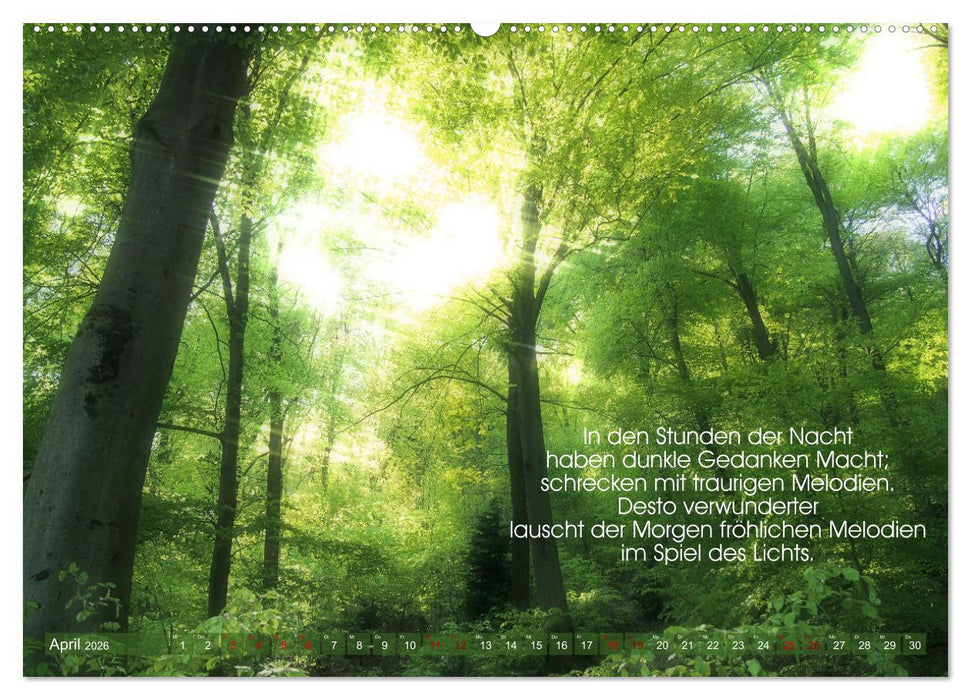 Funken der Hoffnung (CALVENDO Premium Wandkalender 2026)