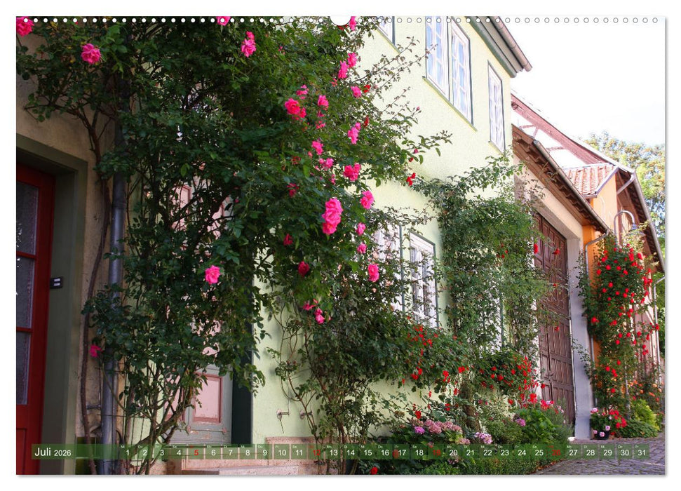 Bad Langensalza - Eine Perle Thüringens (CALVENDO Premium Wandkalender 2026)