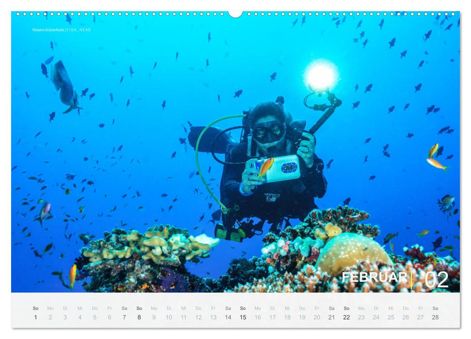 Die schönsten Korallenriffe zum Tauchen auf den Malediven (CALVENDO Premium Wandkalender 2026)