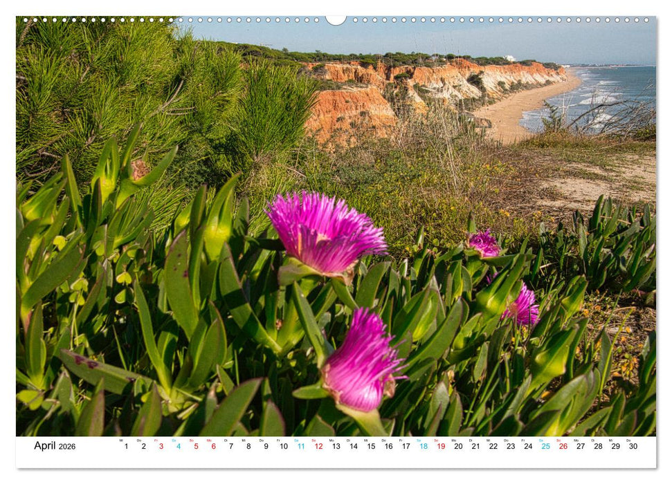 Die Algarve (CALVENDO Wandkalender 2026)