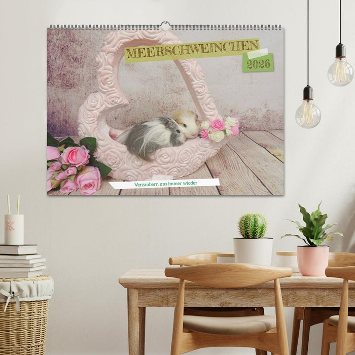 MEERSCHWEINCHEN verzaubern uns immer wieder (CALVENDO Wandkalender 2026)
