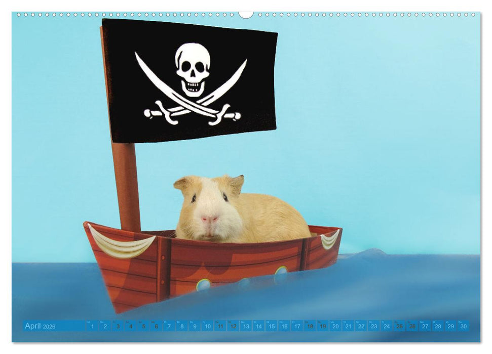MEERSCHWEINCHEN verzaubern uns immer wieder (CALVENDO Wandkalender 2026)
