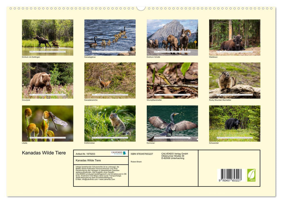 Kanadas Wilde Tiere (CALVENDO Wandkalender 2026)
