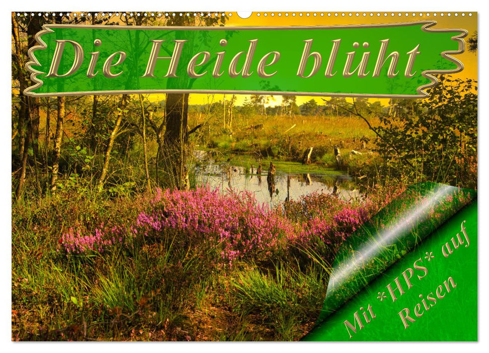 Die Heide blüht (CALVENDO Wandkalender 2026)