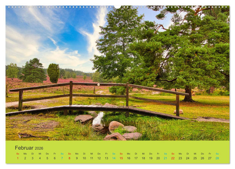 Die Heide blüht (CALVENDO Wandkalender 2026)