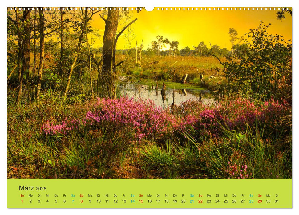 Die Heide blüht (CALVENDO Wandkalender 2026)