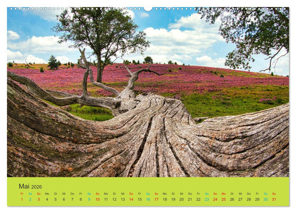 Die Heide blüht (CALVENDO Wandkalender 2026)