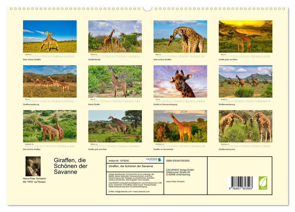 Giraffen, die Schönen der Savanne (CALVENDO Premium Wandkalender 2026)