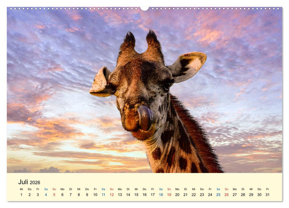 Giraffen, die Schönen der Savanne (CALVENDO Premium Wandkalender 2026)