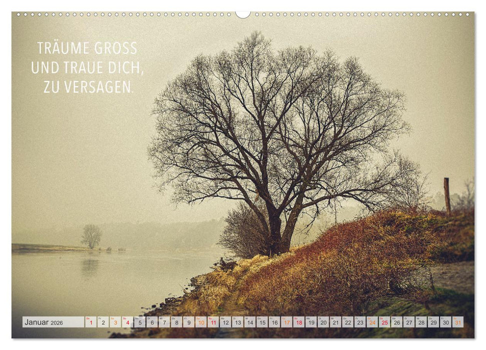 Träume - Motivationssprüche für Dich (CALVENDO Wandkalender 2026)