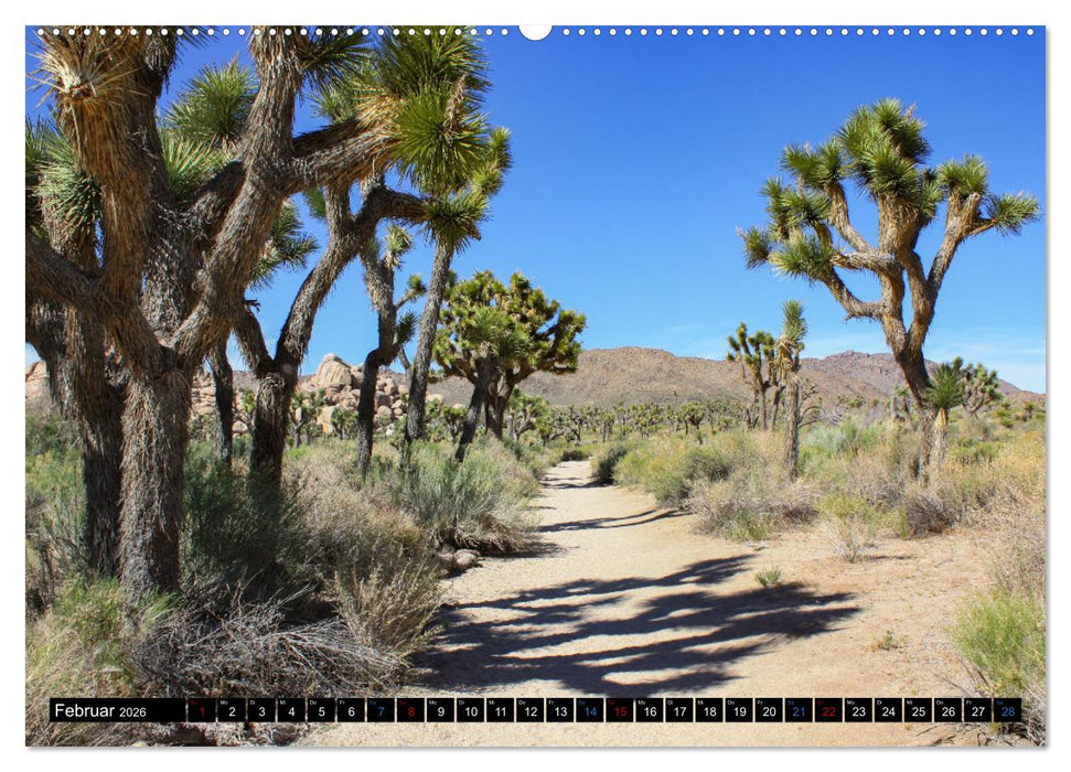USA - Der Südwesten (CALVENDO Premium Wandkalender 2026)