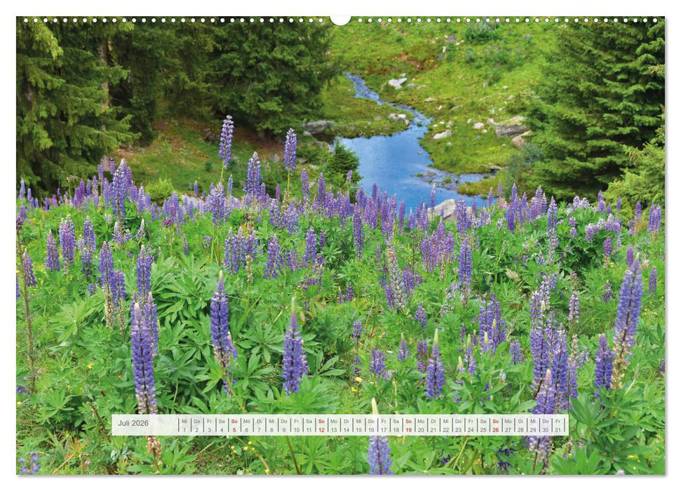 Hoch oben in den Ötztaler Alpen (CALVENDO Premium Wandkalender 2026)