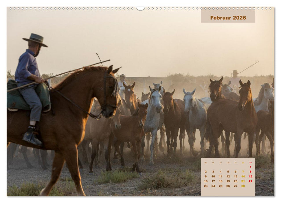 Pferde - Andalusiens wilder Westen (CALVENDO Premium Wandkalender 2026)