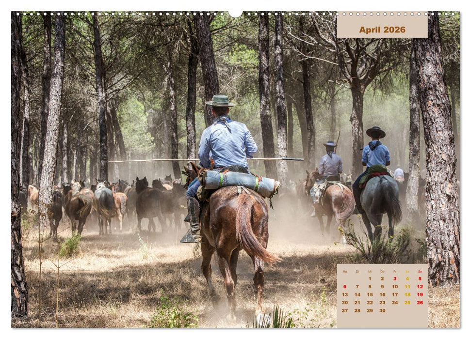 Pferde - Andalusiens wilder Westen (CALVENDO Premium Wandkalender 2026)