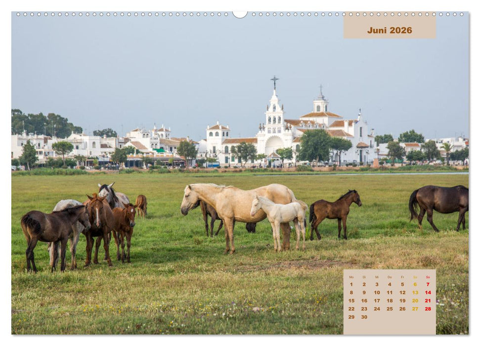 Pferde - Andalusiens wilder Westen (CALVENDO Premium Wandkalender 2026)