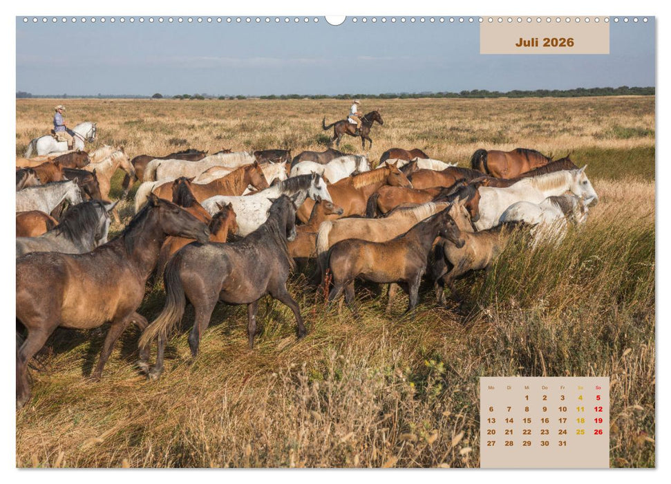 Pferde - Andalusiens wilder Westen (CALVENDO Premium Wandkalender 2026)