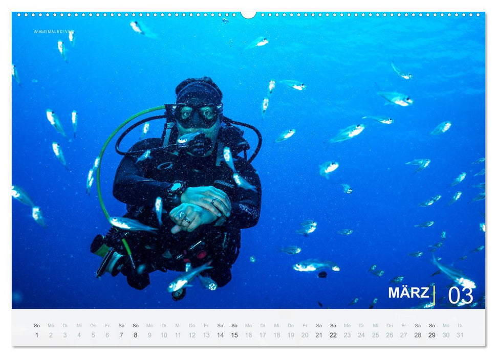 Einfach Tauchen - Wunderbare Tauchplätze und Korallenriffe (CALVENDO Premium Wandkalender 2026)