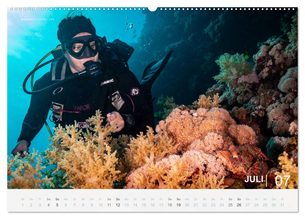 Einfach Tauchen - Wunderbare Tauchplätze und Korallenriffe (CALVENDO Premium Wandkalender 2026)